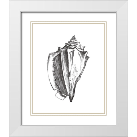 Seashell Study IV White Modern Wood Framed Art Print with Double Matting by Wang, Melissa