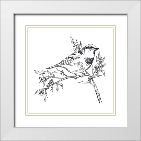 Simple Songbird Sketches I White Modern Wood Framed Art Print with Double Matting by Vess, June Erica