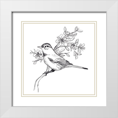 Simple Songbird Sketches III White Modern Wood Framed Art Print with Double Matting by Vess, June Erica