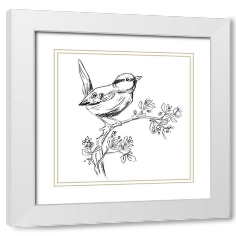 Simple Songbird Sketches IV White Modern Wood Framed Art Print with Double Matting by Vess, June Erica