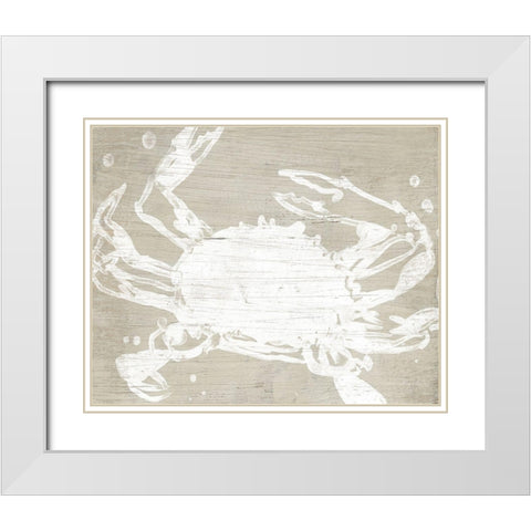 Weathered Crab II White Modern Wood Framed Art Print with Double Matting by Vess, June Erica