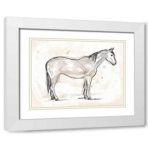 Vintage Equine Sketch II White Modern Wood Framed Art Print with Double Matting by Vess, June Erica
