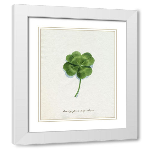 Lucky Charm I White Modern Wood Framed Art Print with Double Matting by Popp, Grace