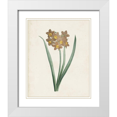 Classic Botanicals VI White Modern Wood Framed Art Print with Double Matting by Redoute, Pierre