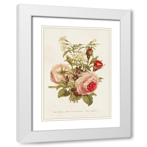 Antique Floral Bouquet III White Modern Wood Framed Art Print with Double Matting by Unknown