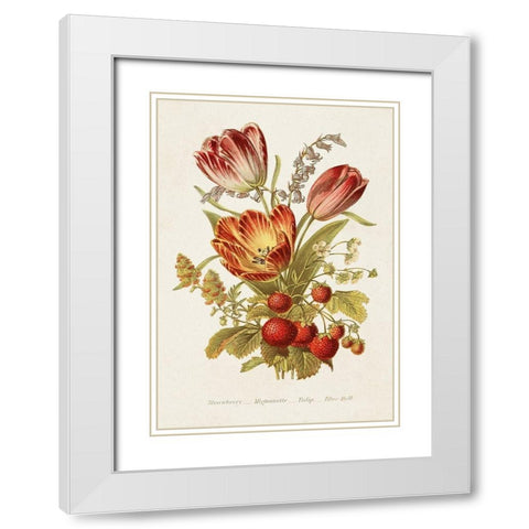 Antique Floral Bouquet IV White Modern Wood Framed Art Print with Double Matting by Unknown