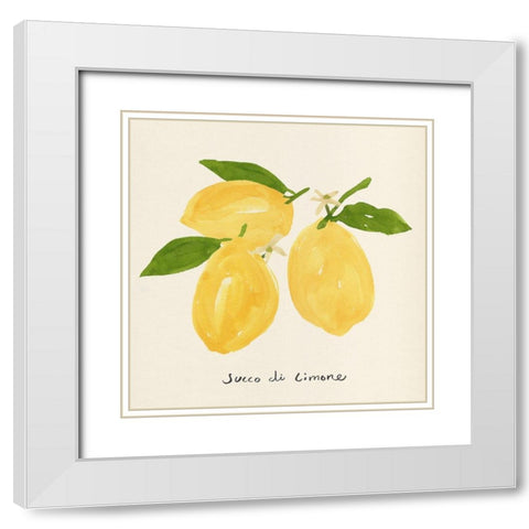 Citrus Trattare I White Modern Wood Framed Art Print with Double Matting by Warren, Annie