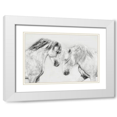 Equine Portrait I White Modern Wood Framed Art Print with Double Matting by PHBurchett