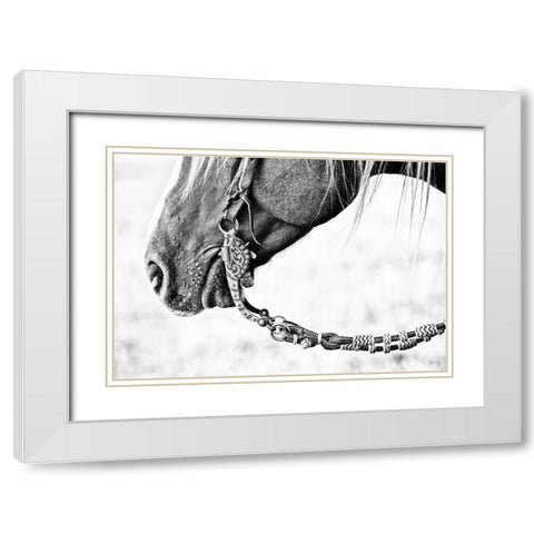 Equine Portrait II White Modern Wood Framed Art Print with Double Matting by PHBurchett