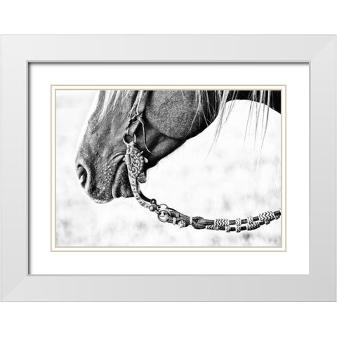 Equine Portrait II White Modern Wood Framed Art Print with Double Matting by PHBurchett