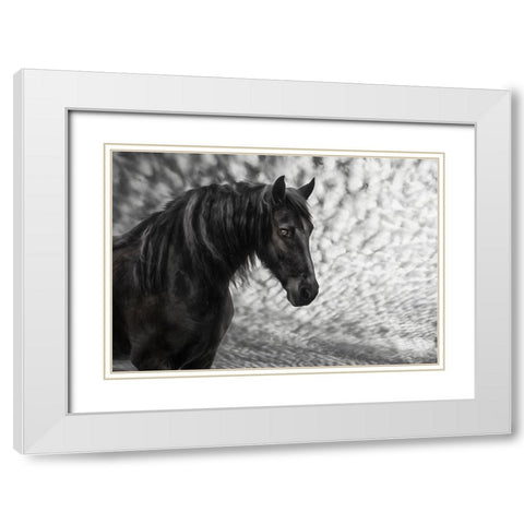 Equine Portrait III White Modern Wood Framed Art Print with Double Matting by PHBurchett