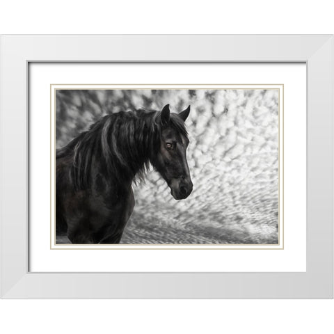 Equine Portrait III White Modern Wood Framed Art Print with Double Matting by PHBurchett