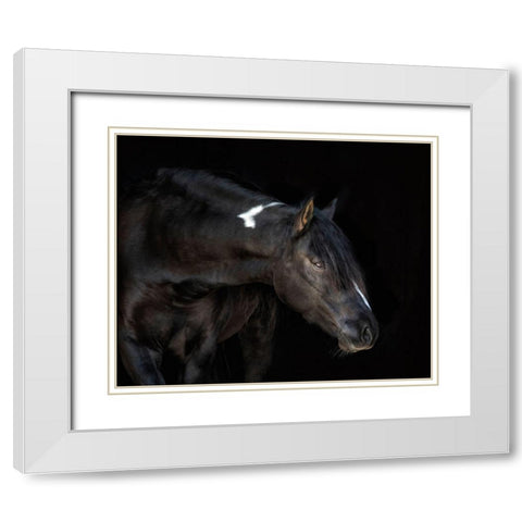 Equine Portrait IV White Modern Wood Framed Art Print with Double Matting by PHBurchett