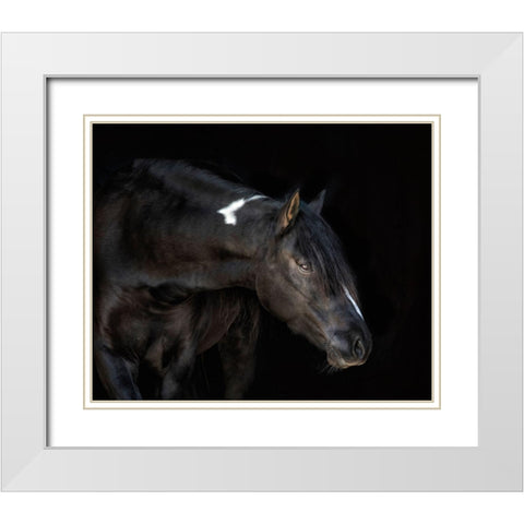 Equine Portrait IV White Modern Wood Framed Art Print with Double Matting by PHBurchett