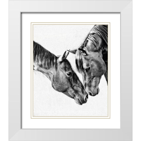 Equine Portrait VI White Modern Wood Framed Art Print with Double Matting by PHBurchett