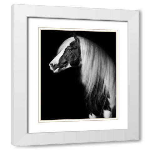 Equine Portrait VII White Modern Wood Framed Art Print with Double Matting by PHBurchett