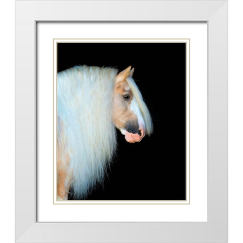 Equine Portrait VIII White Modern Wood Framed Art Print with Double Matting by PHBurchett