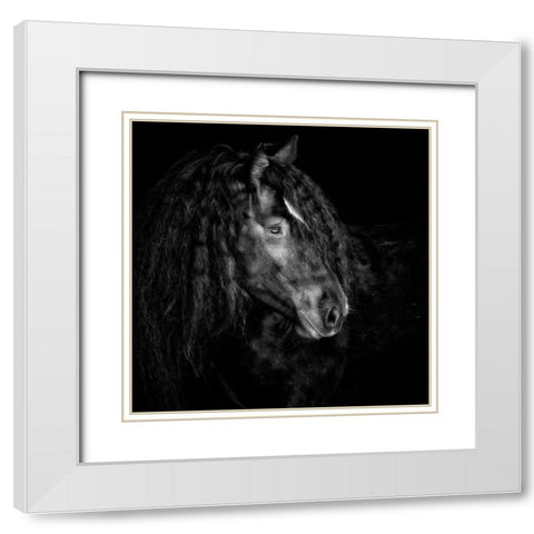 Equine Portrait IX White Modern Wood Framed Art Print with Double Matting by PHBurchett