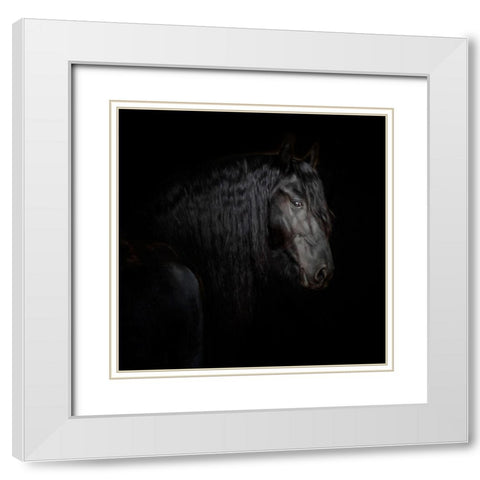 Equine Portrait X White Modern Wood Framed Art Print with Double Matting by PHBurchett