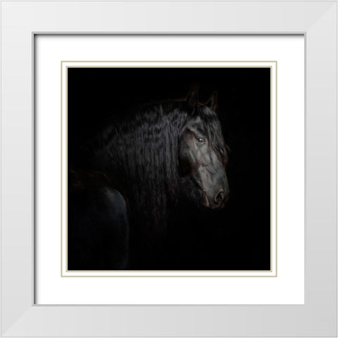 Equine Portrait X White Modern Wood Framed Art Print with Double Matting by PHBurchett