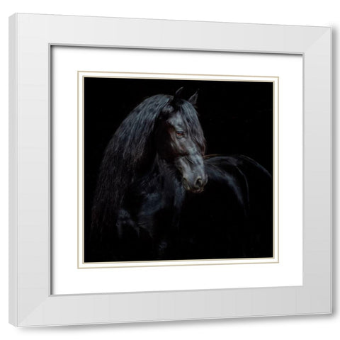 Equine Portrait XI White Modern Wood Framed Art Print with Double Matting by PHBurchett