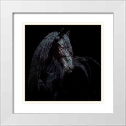Equine Portrait XI White Modern Wood Framed Art Print with Double Matting by PHBurchett
