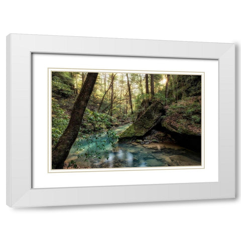 Filtered Light I White Modern Wood Framed Art Print with Double Matting by Head, Danny