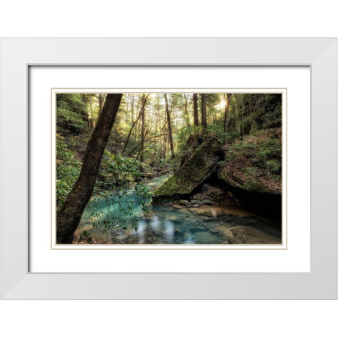 Filtered Light I White Modern Wood Framed Art Print with Double Matting by Head, Danny