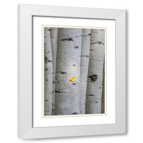 Stuck On You White Modern Wood Framed Art Print with Double Matting by Head, Danny