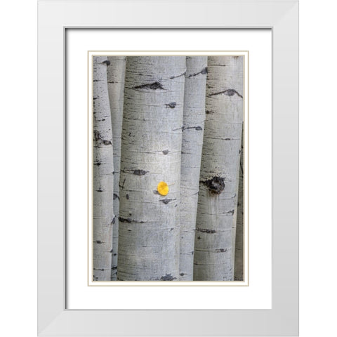Stuck On You White Modern Wood Framed Art Print with Double Matting by Head, Danny