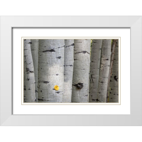 Stuck On You Too White Modern Wood Framed Art Print with Double Matting by Head, Danny