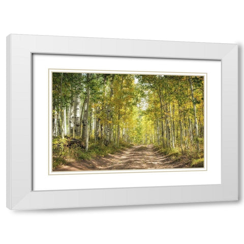 Aspen Drive White Modern Wood Framed Art Print with Double Matting by Head, Danny