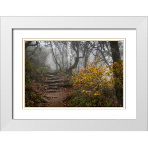 Stone Steps White Modern Wood Framed Art Print with Double Matting by Head, Danny