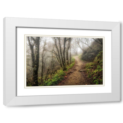Narrow Path White Modern Wood Framed Art Print with Double Matting by Head, Danny