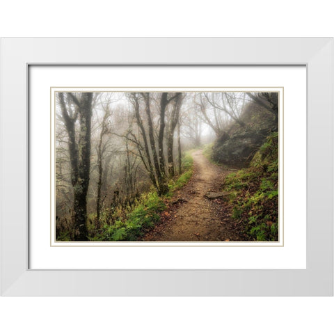 Narrow Path White Modern Wood Framed Art Print with Double Matting by Head, Danny