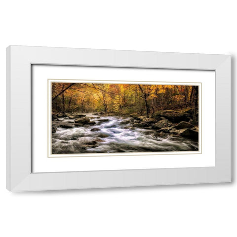 Autumn Bliss White Modern Wood Framed Art Print with Double Matting by Head, Danny