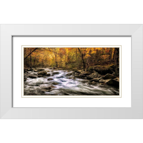 Autumn Bliss White Modern Wood Framed Art Print with Double Matting by Head, Danny