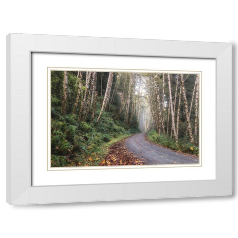 Mountain Drive White Modern Wood Framed Art Print with Double Matting by Head, Danny