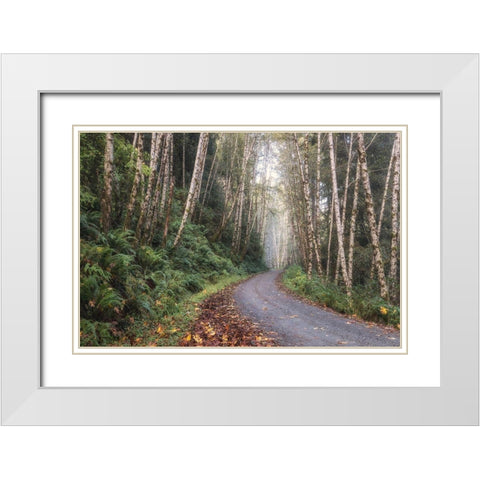 Mountain Drive White Modern Wood Framed Art Print with Double Matting by Head, Danny