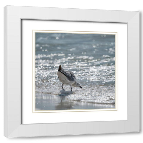 Bottoms Up White Modern Wood Framed Art Print with Double Matting by Head, Danny