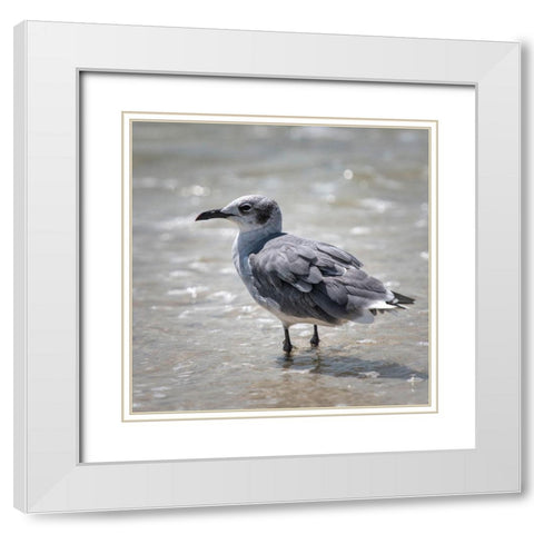Knee Deep White Modern Wood Framed Art Print with Double Matting by Head, Danny