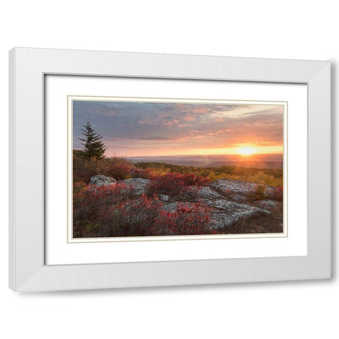 Good Morning White Modern Wood Framed Art Print with Double Matting by Head, Danny