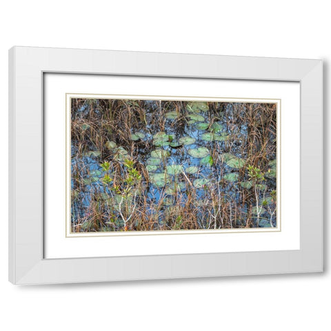 The Marsh White Modern Wood Framed Art Print with Double Matting by Head, Danny
