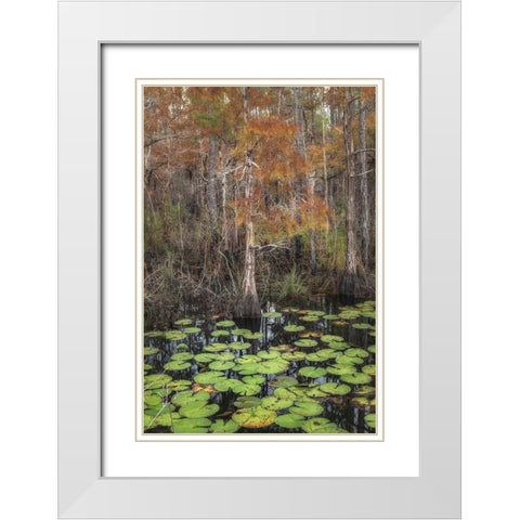 Black Water I White Modern Wood Framed Art Print with Double Matting by Head, Danny