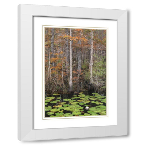 Black Water II White Modern Wood Framed Art Print with Double Matting by Head, Danny