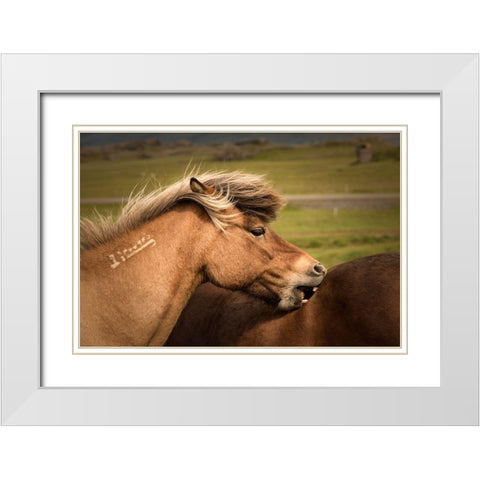 Rough Play White Modern Wood Framed Art Print with Double Matting by Head, Danny