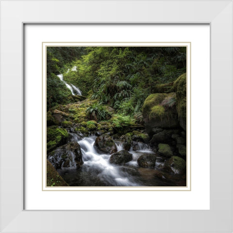 Oasis White Modern Wood Framed Art Print with Double Matting by Head, Danny