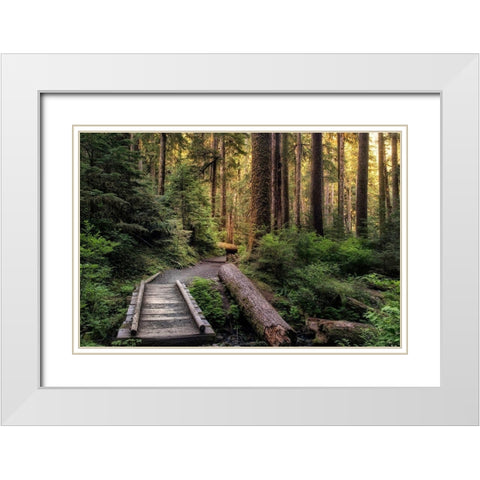 Morning Calls White Modern Wood Framed Art Print with Double Matting by Head, Danny