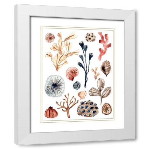 Ocean Assortment I White Modern Wood Framed Art Print with Double Matting by Vess, June Erica