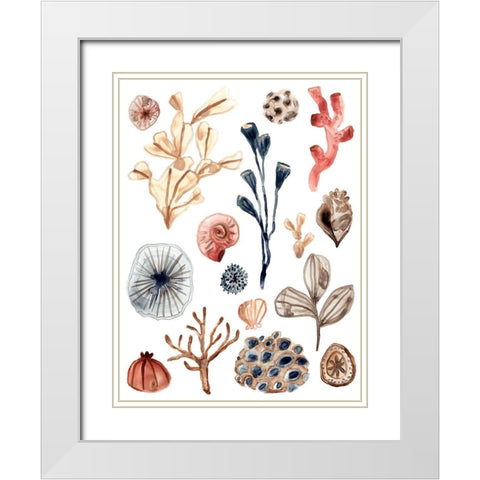 Ocean Assortment I White Modern Wood Framed Art Print with Double Matting by Vess, June Erica